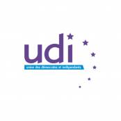 logo UDI.jpg